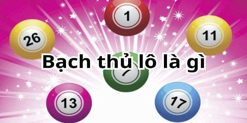 Bạch thủ lô - tư liệu cho người mới