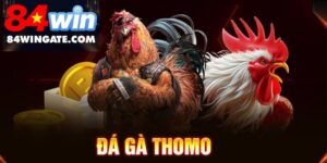 đá gà thomo